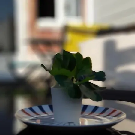 Le Chat Bleu - 26M2- Terrasse Sur Les Toits - Wi-Fi Amiens Exterior foto