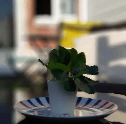 Le Chat Bleu - 26M2- Terrasse Sur Les Toits - Wi-Fi